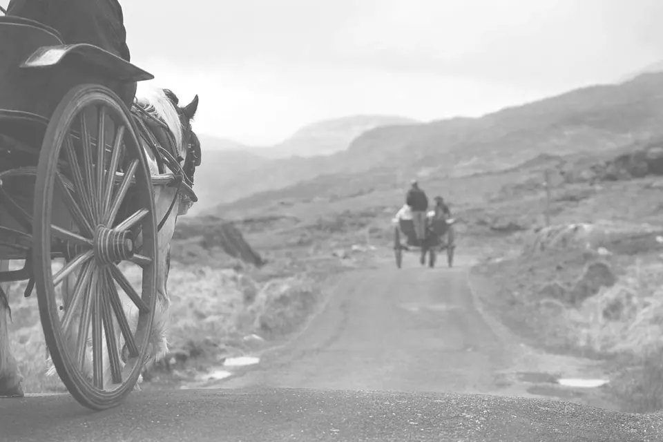 Căruță cu cai pe un drum de munte, fotografie alb-negru